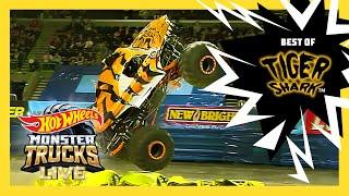 BEST OF TIGER SHARKS CAR CRUSHING  Monster Trucks LIVE  @HotWheels