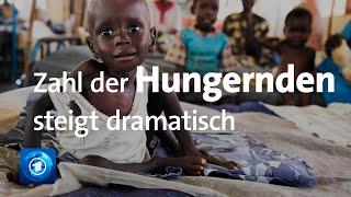 UN Weltweiter Hunger durch Corona und Kriege gestiegen