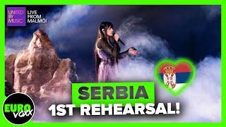  SERBIA EUROVISION 2024 1ST REHEARSAL REACTION  TEYA DORA - RAMONDA