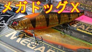 【入荷情報】Megabass MEGADOG-X ／ メガバス　メガドッグＸ