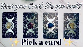 Does your Crushlike you back?🫢Pick a card timeless Tarot reading