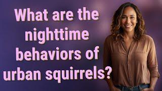 What are the nighttime behaviors of urban squirrels?