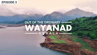 Best of Wayanad - Banasura Sagar Dam  Kerala  Wayanad Tourist Places  Himalayan BS6