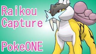 Raikou Capture and Process PokeONE MMO