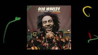 Top Rankin – Bob Marley and The Chineke Orchestra Visualizer