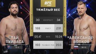 БОЙ Тай Туиваса - Александр Волков  UFC 293