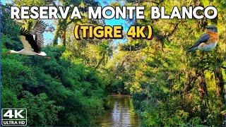 【4K】Descubrí la BELLEZA de la Reserva MONTE BLANCO - Tigre Buenos Aires   Paseo Delta Terra
