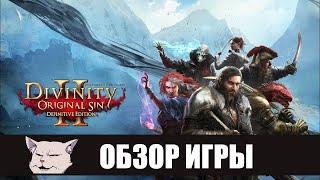 Шедевр со странностями I Обзор игры Divinity Original sin 2 Definitive Edition