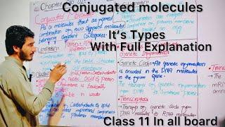 Conjugated Molecules conjugated molecules in urdu Class 11