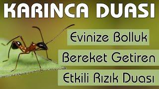 Karınca duası dinle Bereket Rızık duası dinle 99 Kere  Evinize Bol Rızık için KARINCA DUASI 