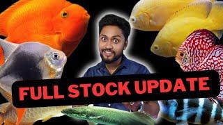 Full Stock Update Video  Fish Room Tour  Small To Big All Fish In One Video  Huge Stock