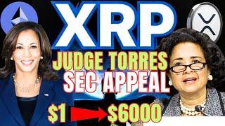 XRP RIPPLE NEWS SEC Appeal Update  XRP PRICE Update  ETH PRICE PREDICTION