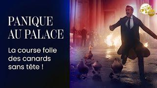 PANIQUE AU PALACE  La course folle des canards sans tête 