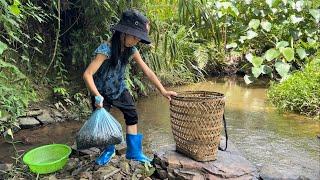 Poor girl. Go catch stone snails in the ravine to sell for money