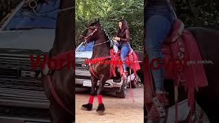 beautiful girl ride a powerful horse. #horsegirl #horse #horselover #horselover #horseriding #viral