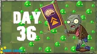 Plants vs Zombies 2 - Modern Day - Day 36 Rally Zombie No Premium