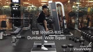 운동백과 다니엘 덤벨 와이드 스쿼트 Dumbell Wide Squat