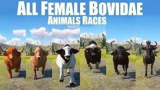 All Female Bovidae  Bovids Animals Races in Planet Zoo included Holstein Cow Gaur Cattle