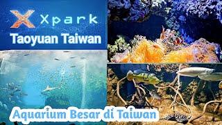 X PARK AQUARIUM TAOYUAN TAIWAN  MELIHAT BERBAGAI MACAM BINATANG LAUT #wisatataiwan #travelling