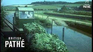 Out Takes  Cuts From Cp 346 - Baby Animals And Watercress Farm 1961