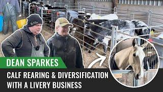 Calf Rearing and Diversification with a Livery Business Dean Sparkes