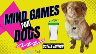 Mental Stimulation and Exercise for Dogs - Blender Bottle Game - Toller Edition