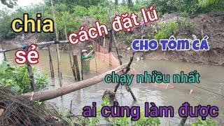 chia sẻ cách đặt lú cho tôm cá chạy nhiều nhất ai củng làm được