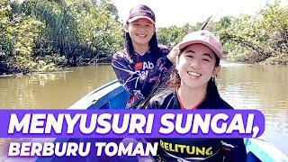 Berburu Toman menyusuri sungai Semubur Bangka Barat  Lady Angler