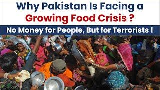 Why Pakistan Is Facing a Growing Food Crisis ?