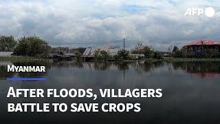 Myanmar floods Death toll rises with hundreds of thousands in need  AFP