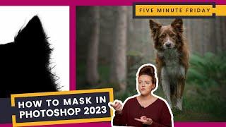 How to Mask Fur and Hair in Photoshop CC 2023  Another Update for Masking in Photoshop