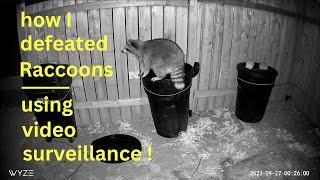 How I Defeated Raccoons ● Using Video Surveillance 