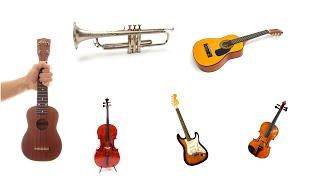 Musical instruments for kids and toddlers. Learn names and sounds of music instruments