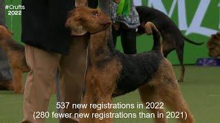 2022s New Registration Numbers - Terrier Group