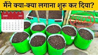 मैंने गार्डन में क्या-क्या लगाना शुरू कर दिया? Rainy Season Gardening Tips And Tour Video In Hindi