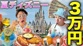 【爆食】ディズニーランドで3万円使い切るまで帰れません！フード&グッズ紹介。びしょ濡れMAXパレードにミッキーの神グリーティング！