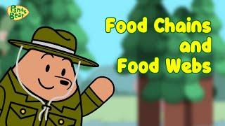 The Animal Food Chains   Education Video for Kids  #Pantsbear