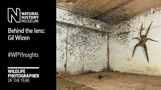 Behind the lens The spider room by Gil Wizen #WPYInsights  Natural History Museum