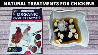 Natural Treatment for Chicken Diseases  Complete Guide to Organic Poultry Farming