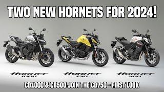 Two new Honda Hornet models for 2024  CB1000 & CB500 - First look