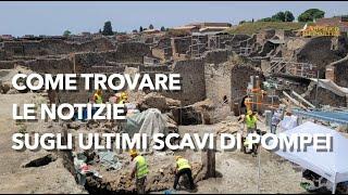 Ultimi scavi di Pompei come trovare le notizie scientifiche sulle-journal parla Zuchtriegel