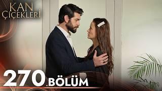 Kan Çiçekleri 270. Bölüm