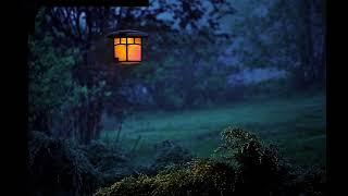 Night Ambient Sounds Cricket Swamp Sounds at Night Sleep and Relaxation Meditation Sounds