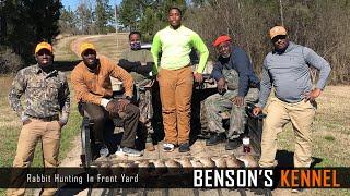 Rabbit Hunting In Front Yard  Bensons Kennel