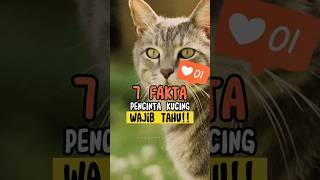 7 fakta tentang kucing yang kita tidak tahu #faktakucing