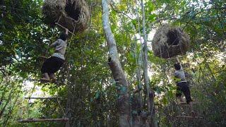 Girl Living Off Grid Built The Most Beautiful Little Bird Tree House in the Jungle