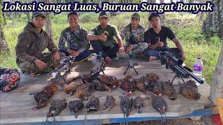 BERBURU AYAM HUTAN SAWIT Part 39  Lokasi Luas Buruan Banyak