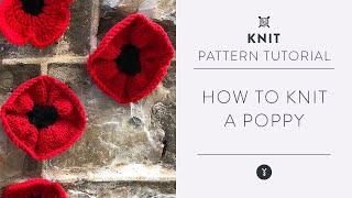 Easy Knit Poppy Pattern with Marly Bird  Beginner Tutorial