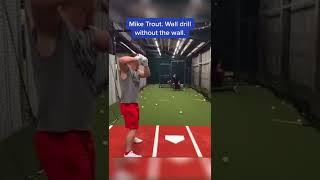The Best Hitters Snap Their Barrel Rearward Yet Many Continue To Deny