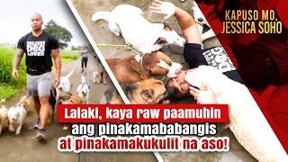 Lalaki kaya raw paamuhin ang pinakamababangis at pinakamakukulit na aso  Kapuso Mo Jessica Soho